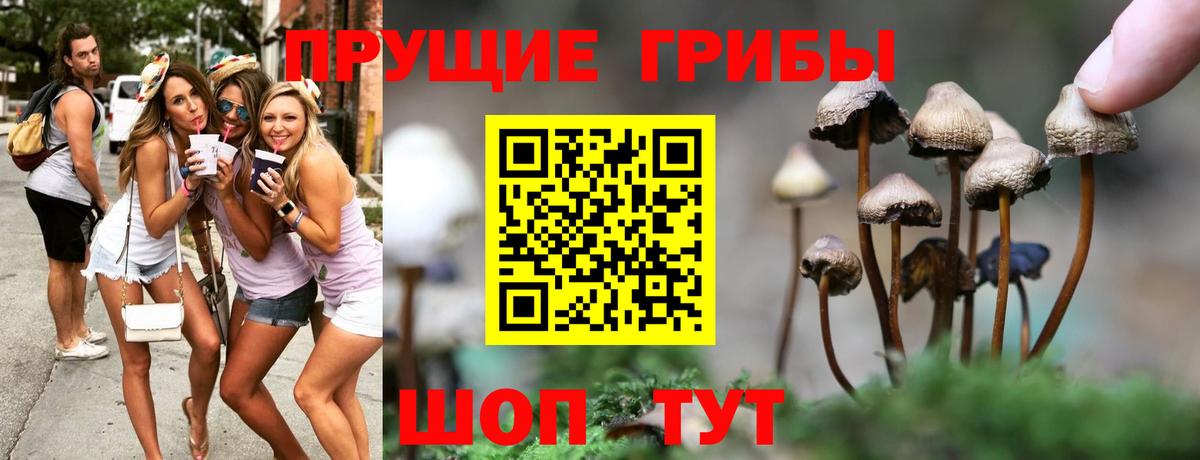 Псилоцибиновые грибы MAGIC MUSHROOMS Бирск