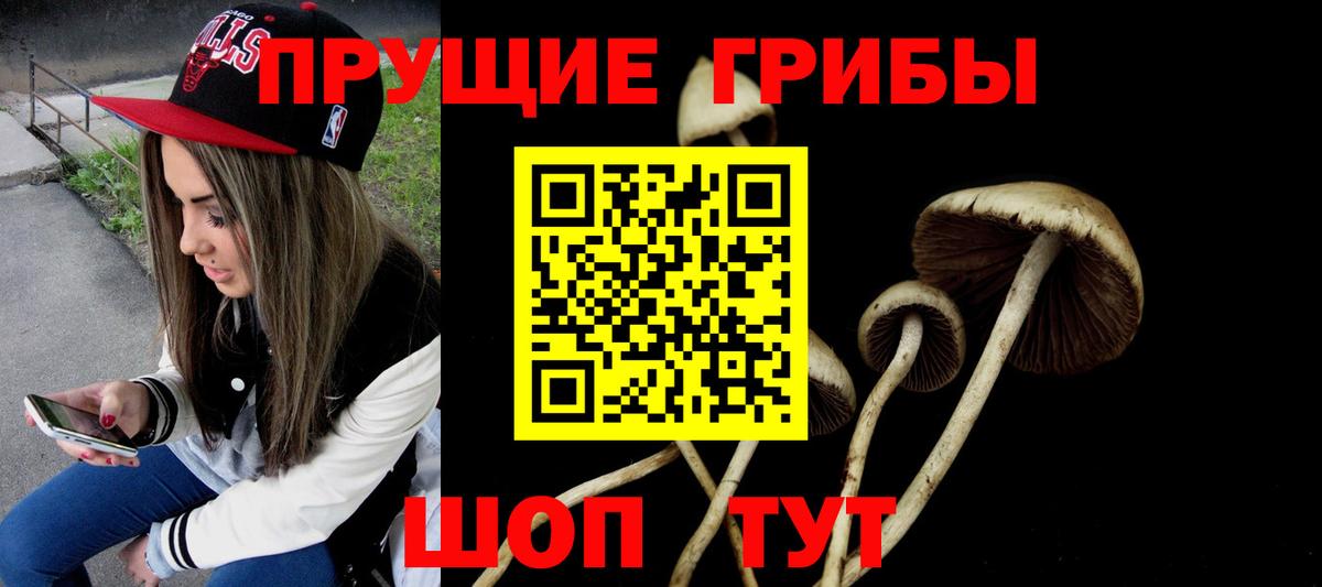 Бирск  Галлюциногенные грибы Magic Shrooms  Вход с VPN  Галлюциногенные грибы Psilocybine cubensis 